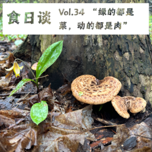 路边的野菜要不要采？聊聊野菜、食物与生物多样性 | Vol.34