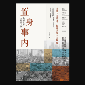 兰小欢《置身事内》