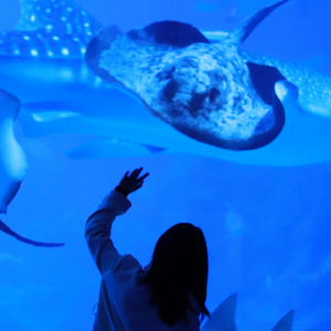 02 拥抱创伤:从村小到北师大,两个“小镇做题家”女孩的成长对谈