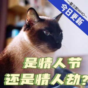 #39 情人节还是情人劫?