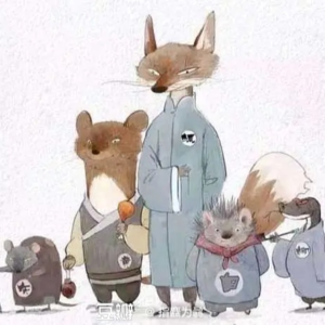 玄学夜话041｜聊聊观星✨和听到的出马仙