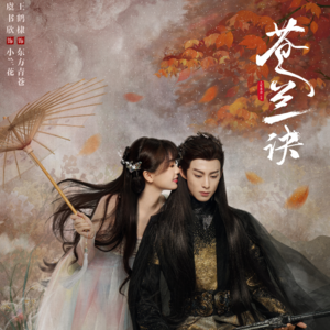 【囡囡夜话】22年度剧综影榜单出炉