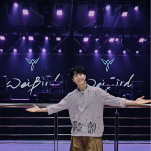 里程碑8.0 2024开年听韦礼安陪你鸟鸟天