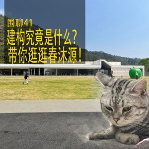 #41 实践的建构vs学术的建构，建筑师何去何从？