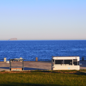 12#快告诉我没问题，敏感也是享受世界的调味剂