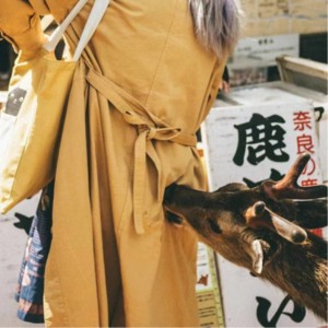 Vol. 7 – 国庆特辑！黄金周将至，你真的要去日本人挤人吗