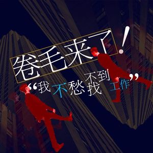 卷毛来了：我不愁找不到工作