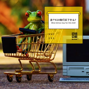 vol. 291 这个618我们买了什么？