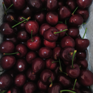 VOL76.爱吃水果也是一种优势，侯姐天生适合做代理。