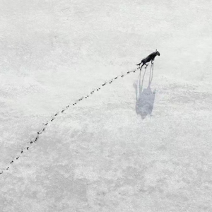 EP03.虽然痛苦到崩溃，却无法辞职的经历（上）