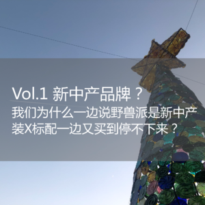 vol1.「头部」品牌：新中产品牌野兽派，网红的困“兽”之斗
