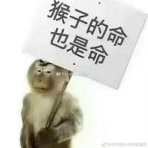 电视台女主持升级打怪记
