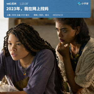 034. 2023年，我在网上找妈