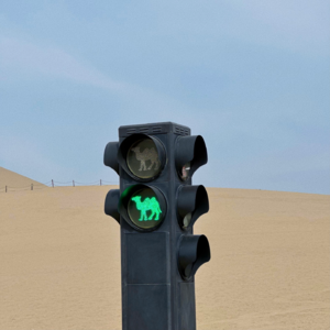 vol.27 我的穷家乡，想说爱你不容易