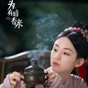 vol.17【看剧】《为有暗香来》人生到底有没后悔药可以吃？！