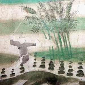 E08 中年少女的养生局