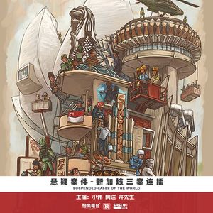 035.新加坡三案连播