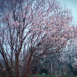 Vol.2 耐心耗尽时要出去走走