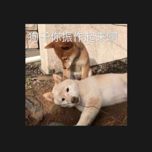 在没有相见的时候，你我也在认真生活。