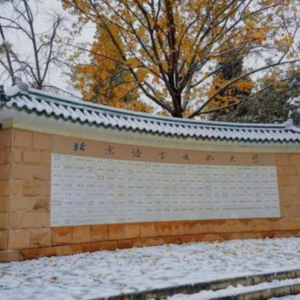 崔希亮：当你让ChatGPT介绍“林黛玉倒拔垂杨柳”“林黛玉三打白骨精”时它会怎么回答？