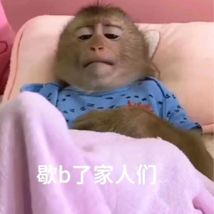 VOL.31：痔疮、子宫息肉、眼角膜……我们统统不要了！