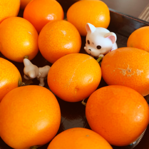 049.曾国藩的二次复出