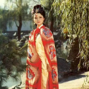 薛宝钗不嫁贾雨村（一）让宝姐姐自己说说吧