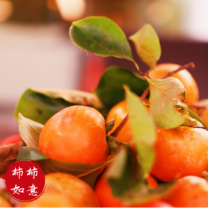 No.5 我们整理了校招同学最关注的问题……