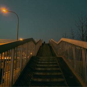 上野千鹤子与项飙的距离【六根不净】 Vol. 032