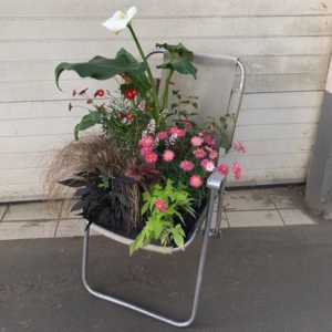 #009 我们究竟能否改变命运 如何呵护自己的心