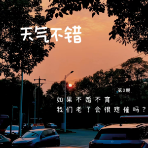 vol.000丨如果不婚不育，我们老了会很悲催吗？