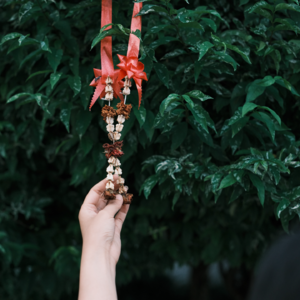 《斑马》我们会再次相遇的