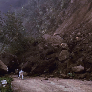 Vol.3 ｜要做多少准备，才能在地震中保住性命