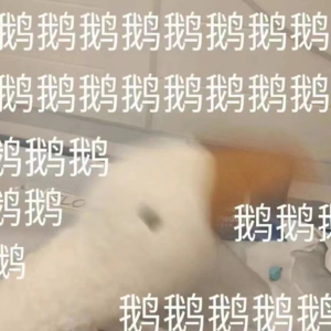 鹅鹅鹅鹅鹅鹅鹅鹅