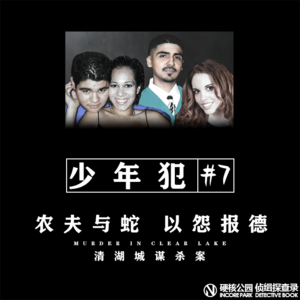 vol.32 少年犯（七）农夫与蛇 以怨报德 清湖城谋杀案