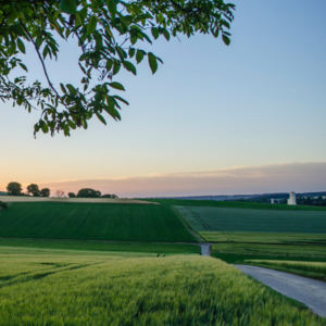 11. 创造工作:无法被复制,是自己的独特发展之路