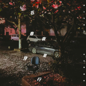 耳潮：在春夜里穿行