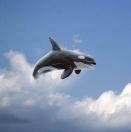 人文社科学习委员