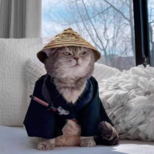 李自成张献忠们的“匪号”（正确版本）