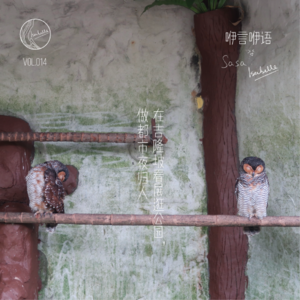 咿言咿语Vol.014丨在吉隆坡看展逛公园,做都市夜归人
