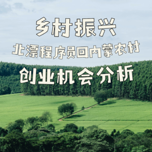 乡村振兴：北漂程序员回内蒙古农村创业机会分析