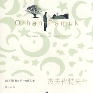 无大志01：帕慕克，不太好读啊！