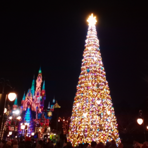 小插曲Alog（2023总结版）：上坡道？下坡道？反正我没想到