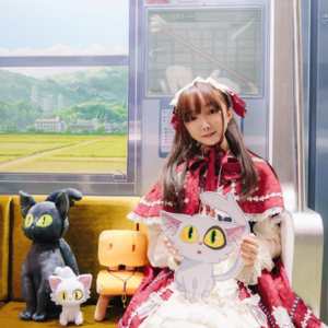 no.114 软软冰的巡礼梦想