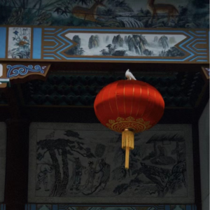 大家一起迎新春 小曲儿一响恭喜发财