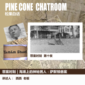 11.罪案时刻 | 海滩上的神秘男人-萨默顿悬案
