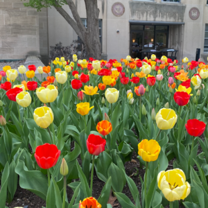 19｜我一直拥有过好今天的能力：应对巨大的不确定性/平衡压力和努力