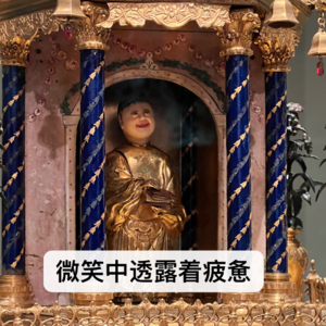 No.31 人到中年换赛道，是梁静茹给你的勇气吗？