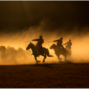 vol19：“我看到‘有头有脸’都ptsd了”