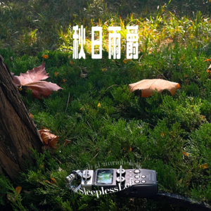 𝙋𝙡𝙖𝙮𝙡𝙞𝙨𝙩 ·In Autumn秋日雨爵|助眠|jazz|治愈|白噪音 |学习工作冥想|疗愈